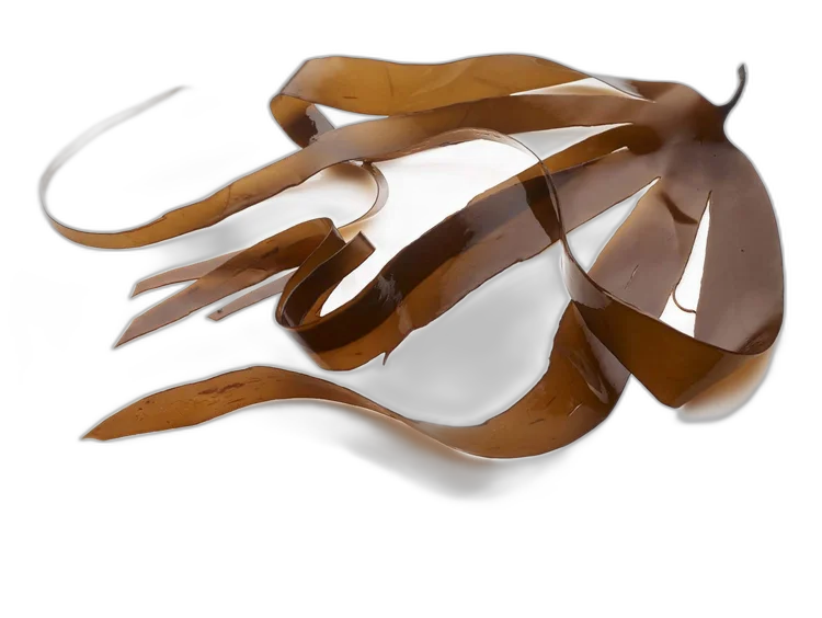 Fingertång